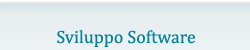 Sviluppo Software